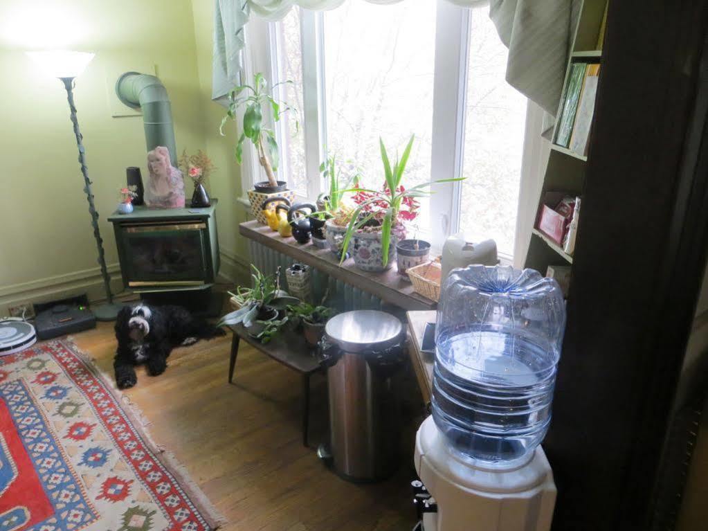 Downtown Bed And Breakfast Οττάβα Εξωτερικό φωτογραφία